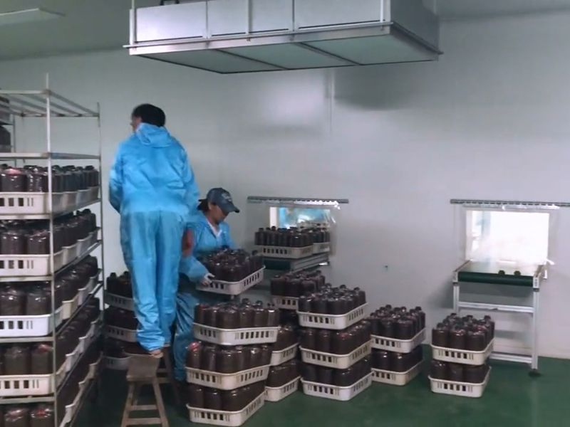 食用菌菌菇接种净化设计装修7 食用菌菌菇接种净化设计装修7