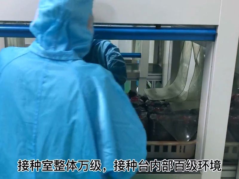 食用菌菌菇接种净化设计装修4 食用菌菌菇接种净化设计装修4