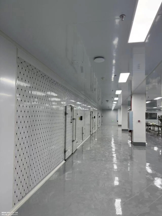 南京江宁电科定制化电子元器件净化车间工程-案例列表实拍图