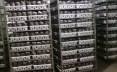 南京食用菌接种车间