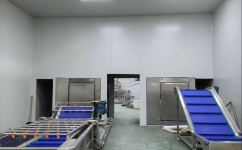 茶叶精加工净化