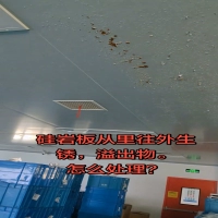 南京净化厂房硅岩板生锈溢出？贴膜 / 贴板 / 换板精准解决方案