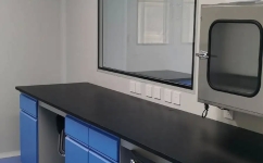 南京高淳药厂GMP