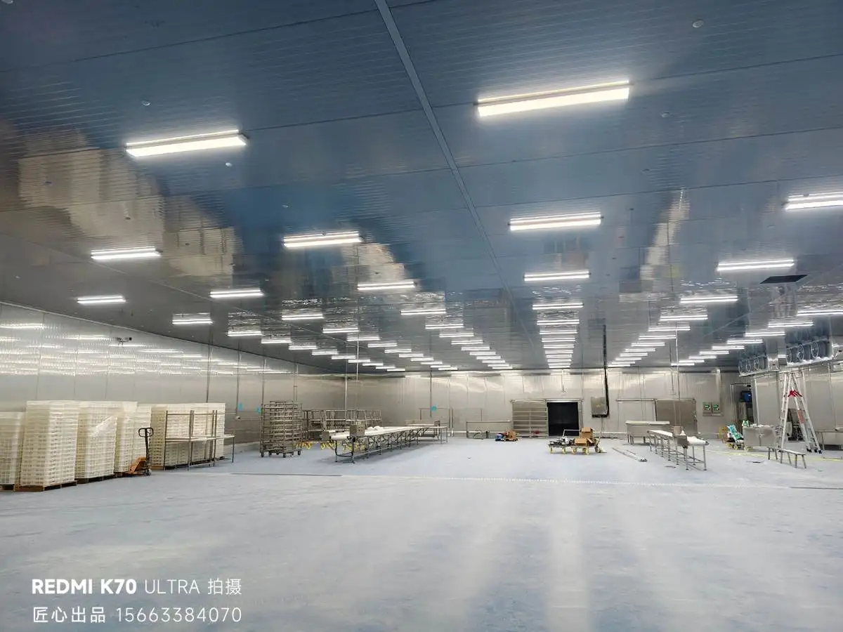 常见问题与解决方案